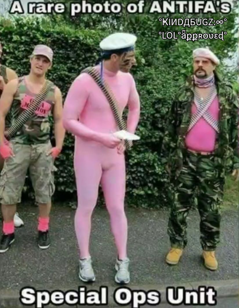 IArare photo of ANT 3 g Ki