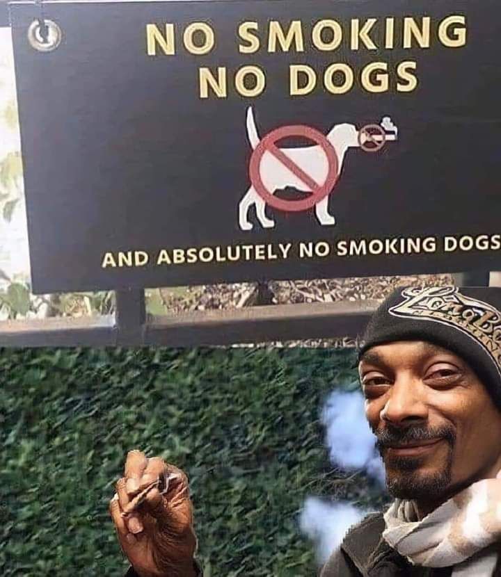 NO SMOKING NO DOGS AND ABSOLUTELY NO SMOKING DOGS