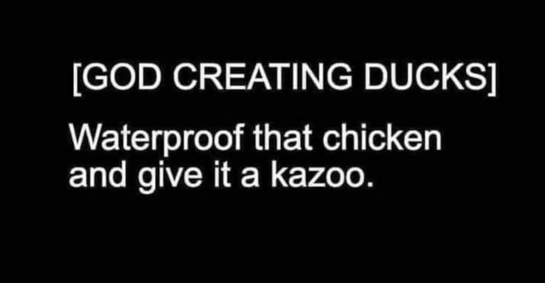 GOD CREATING DUCKS Waterproof that chicken and give it a kazoo