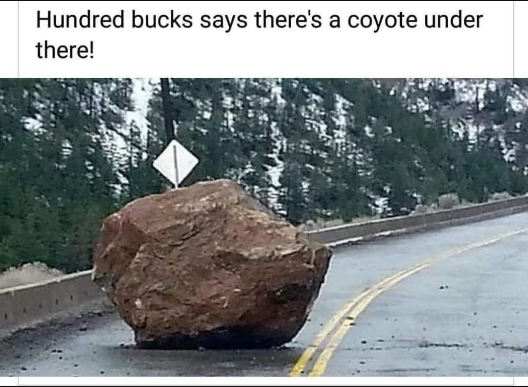 Hundred bucks says theres a coyote under there