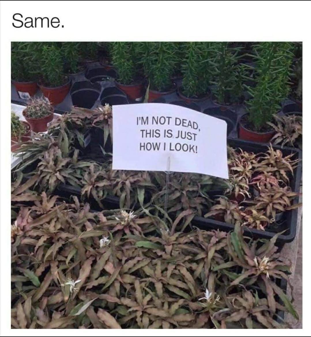 IM NOT DEy THIS IS JUsT HOW LOOK