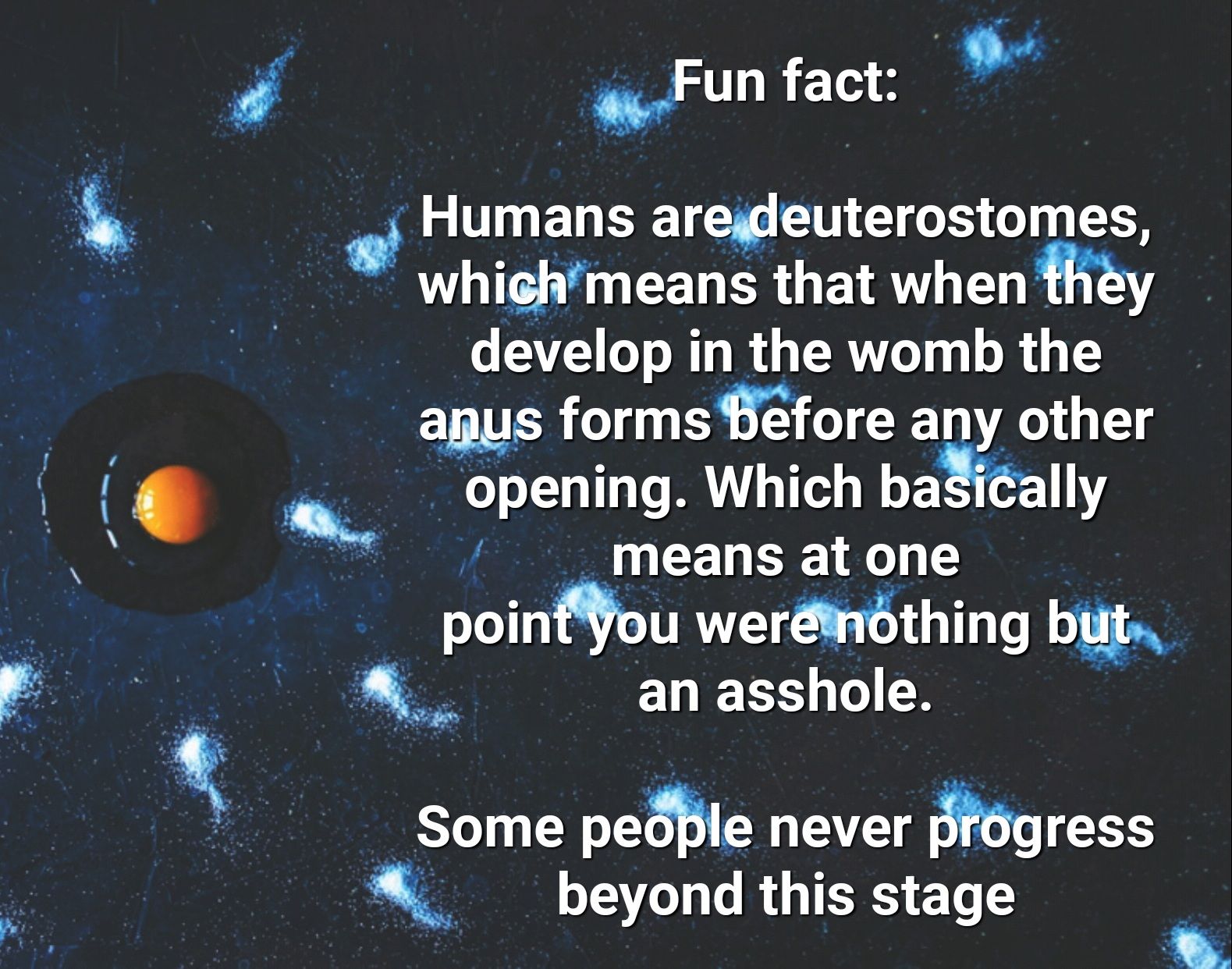 wFun fact o L TG ELEETEY N EGE G O PTG CERER GETRT T develop in the womb the agus forms Before any other g opening Which ba 1 b means at one poinffou wernbthing b L ELEES TS Some pedBle never pfogress T GRGIESENT