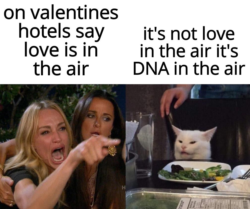 on valentines hotelssay its not love loveisin in the air its the air DNA in the air