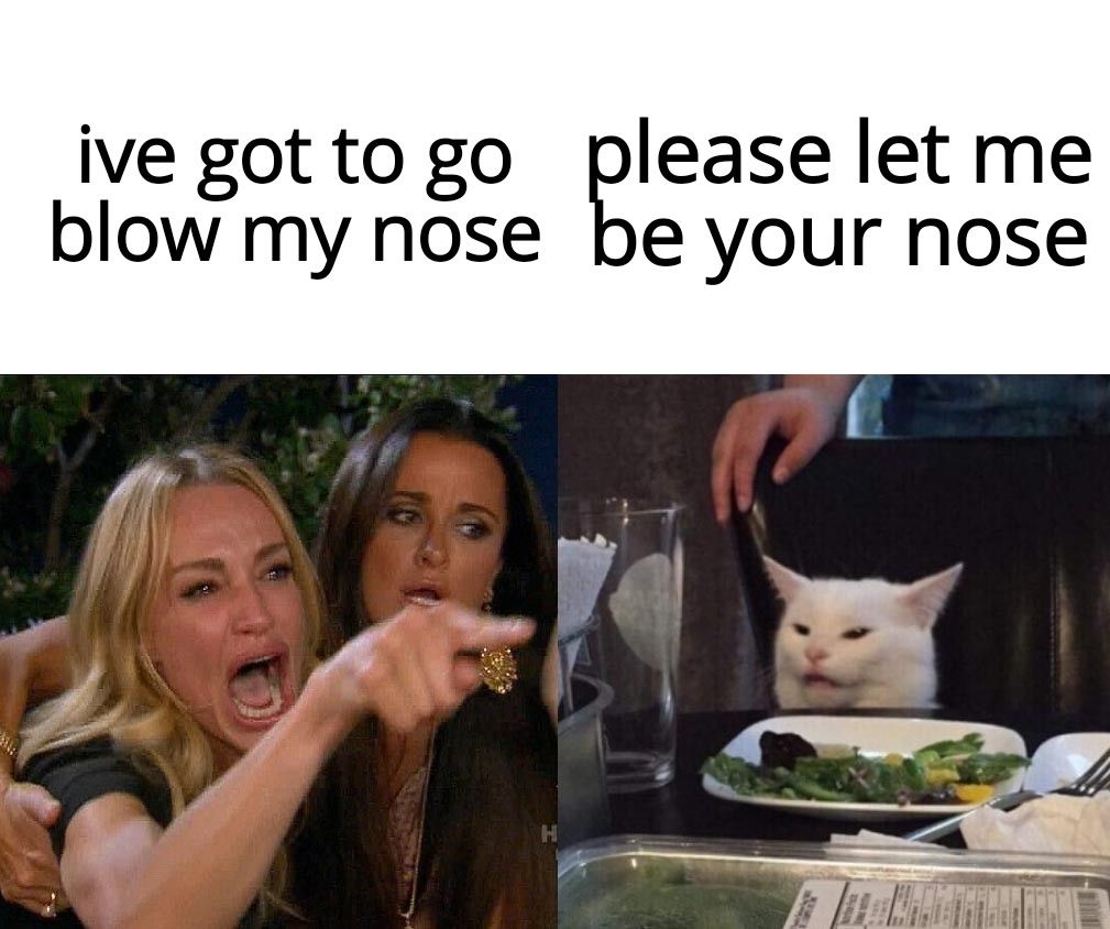 ive gottogo please let me blow my nose be your nose