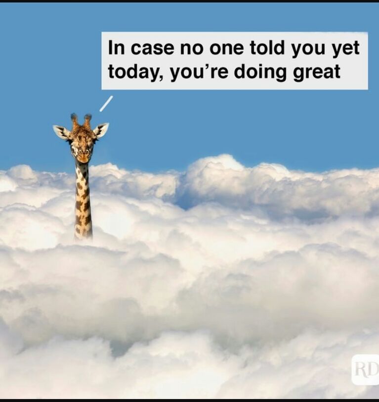 In case no one told you yet today youre doing great