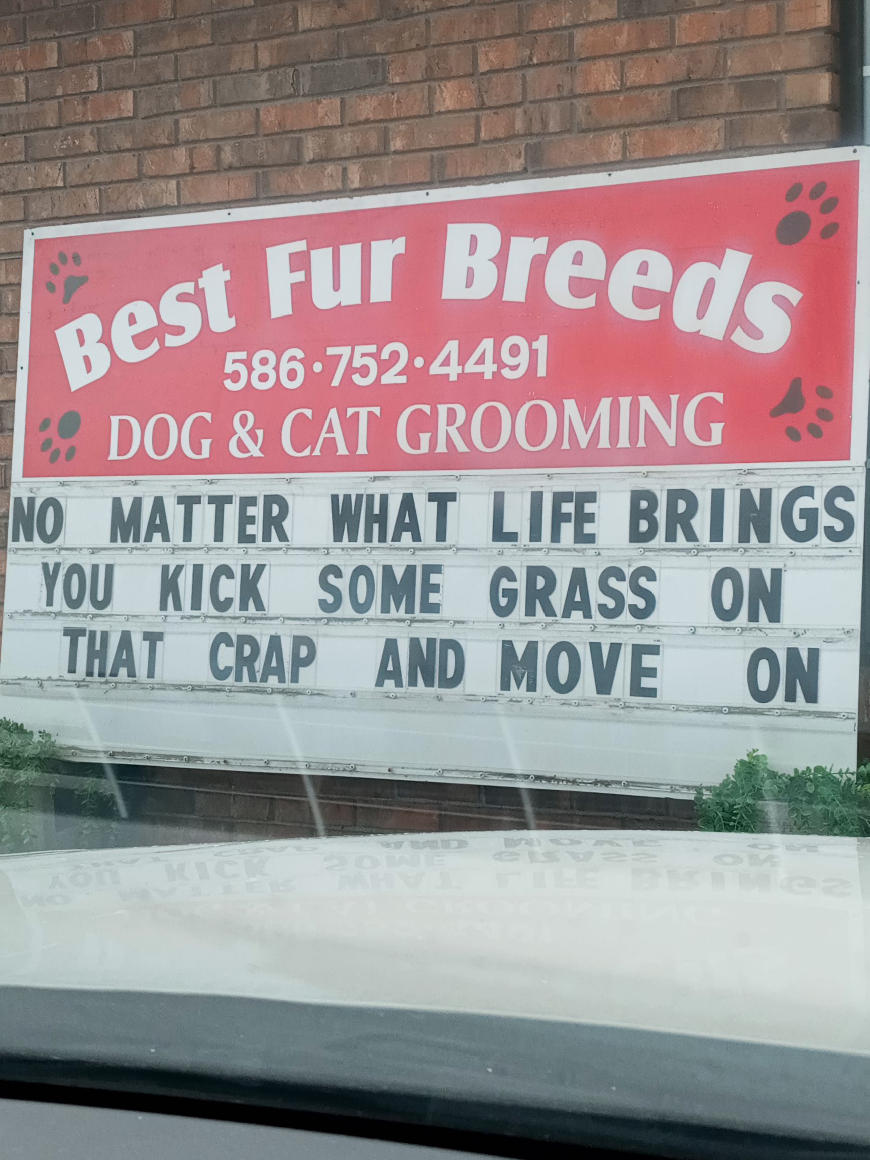 MATTER WHAT LIFE BRINGS Y0U_KICK_SOME GRASS ON _THAT_CUP_AND MOVE _ON_