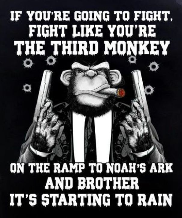 IF YOURE GOING TO FIGHT FIGHT LIKE YOURE THE L MONKEY e nu THE mmr TO0 NOAHS Anx AND BROTHER ITS STARTING TO RAIN