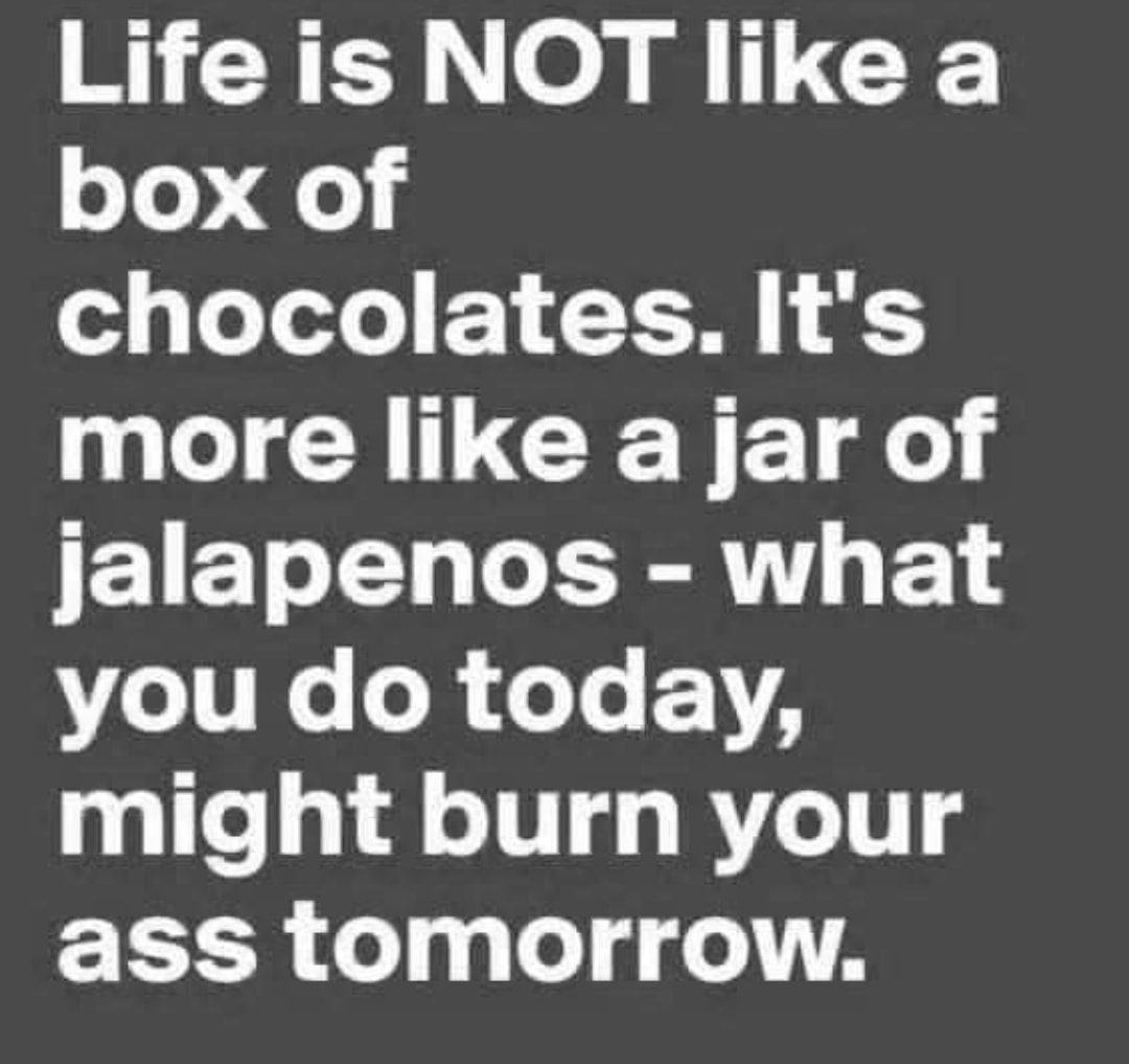 Life is NOT like a box of o3 g Lo ToTo P21 10 3 more like a jar of JE1ET L L TR T V11 e o o T 21A might burn your ass tomorrow