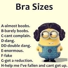 Bra Sizes A almost boobs B barely boobs C cant complain D dang DD double dang E enormous F fake G get a reduction H help me Ive fallen and cant get up AMERICASBESTPICSCOM