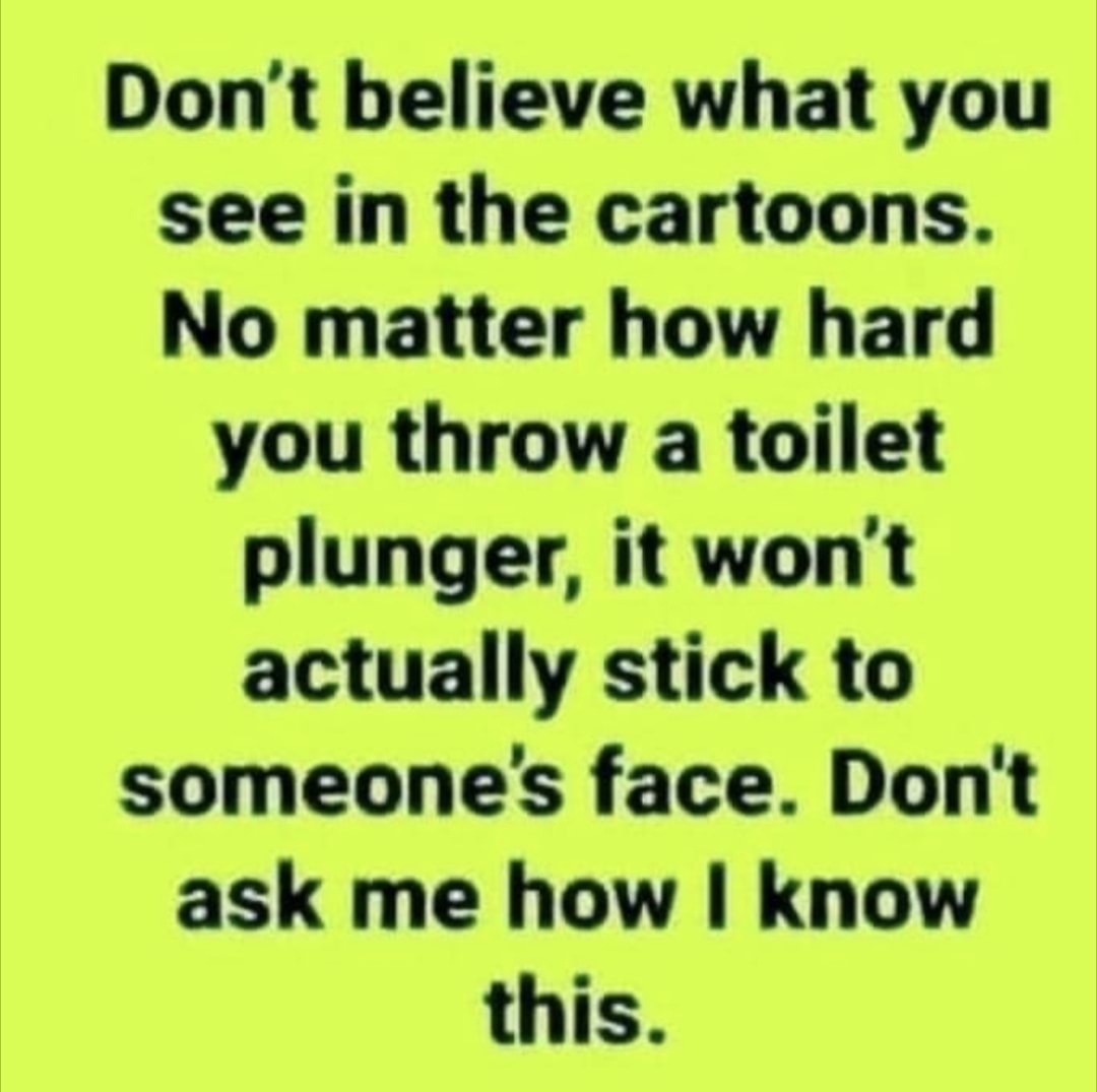 Dont believe what you see in the cartoons No matter how hard you throw a toilet plunger it wont actually stick to someones face Dont ask me how know this