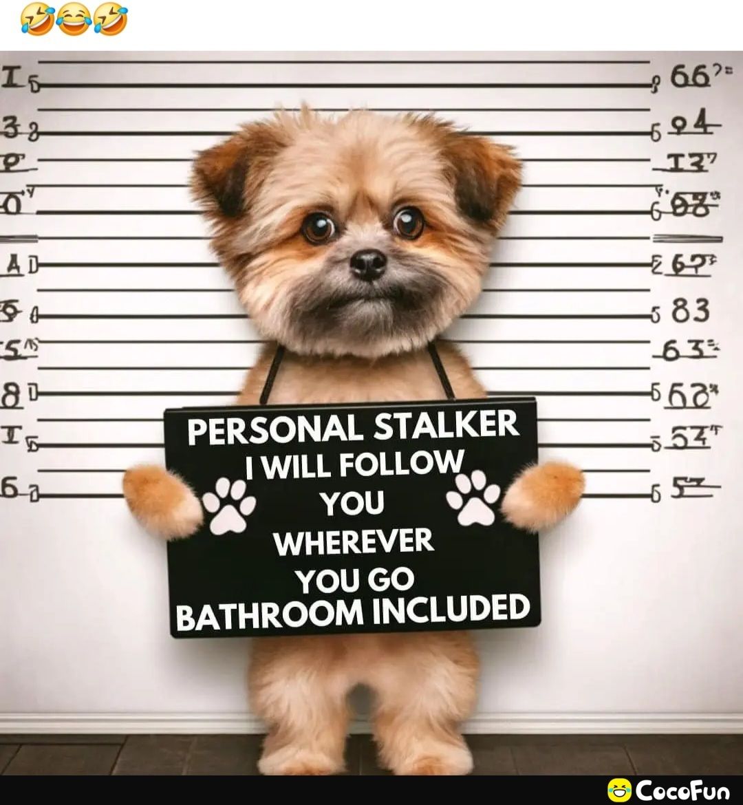 2t a 1 e PERSONAL STALKER WILL FOLLOW WHEREVER YOU GO BATHROOM INCLUDED