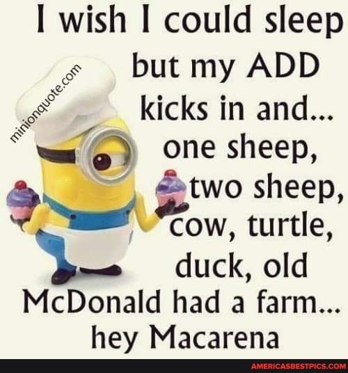 I wish could sleep s but my ADD kicks in and one sheep two sheep cow turtle duck old McDonald had a farm hey Macarena T amemicassesteicscom S S