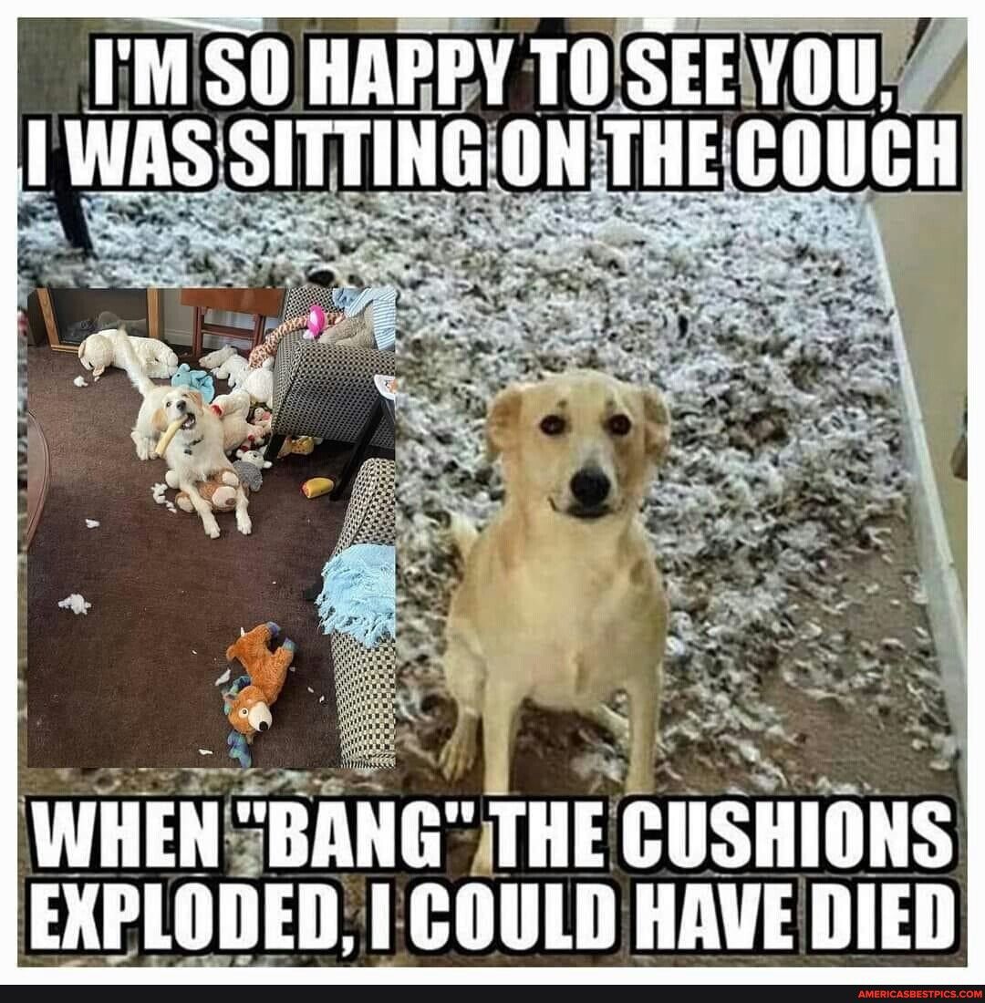 B 5 N s ey a L L WHENBANGTHECUSHIONS EXPLODED COULD HAVE DIED