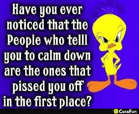 Have you ever noticed that the People who telll you to calm down are the ones that pissed you off in the first place CocoFun