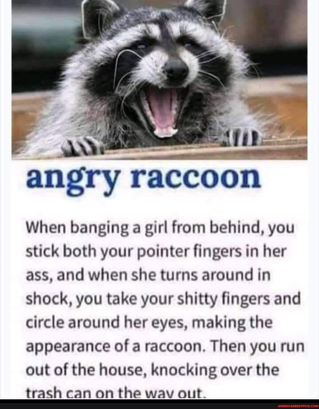 angry raccoon When banging a girl from behind you stick both your pointer fingers in her ass and when she turns around in shock you take your shitty fingers and circle around her eyes making the appearance of a raccoon Then you run out of the house knocking over the trash can on the wav out