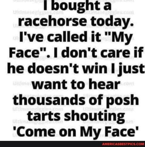 1 bought a racehorse today Ive called it My Face dont care if he doesnt win just want to hear thousands of posh tarts shouting Come on My Face T aAmEmicasasstPicscoM