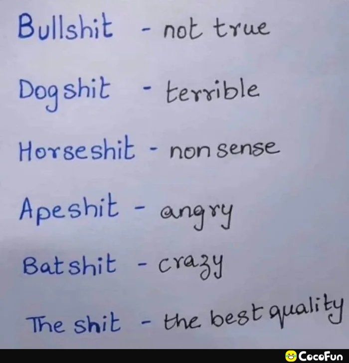 Bullshit not tvue Dogshit tervible Hevseshit non sense Apeshit angwy Batshit cvaly The shit the best oty N