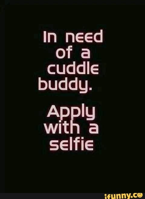 In need o o8 aa3 laaT Ppiy N sem ErI A
