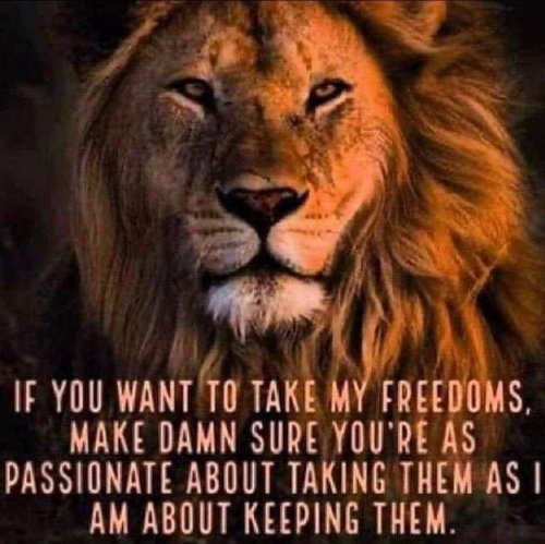 H o4 If ga X IF YOU WANTTO IAK FREEDOMS MAKE DAMN SURE YOURE AS PASSIONATE ABOUT TAKING THEM AS AM ABOUT KEEPING THEM