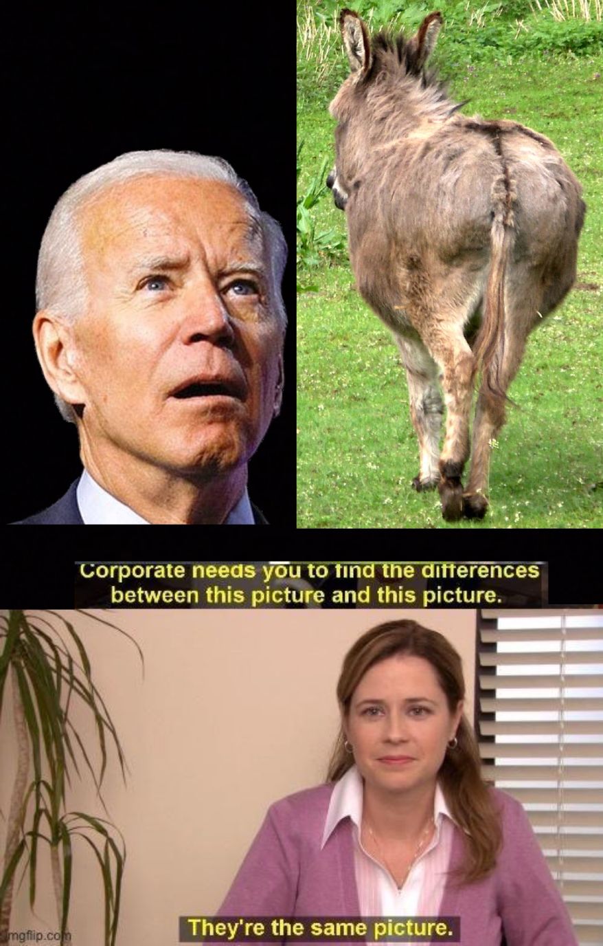 Corporate mg Tina the aifferences between this picture and this picture