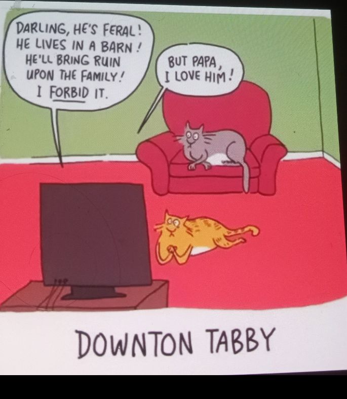 DARLUING HES FeraL HE LIVES IN A BARN HELL BRING RUIN UPON THE FamiLy 1 FORBID IT 8UT PAPA 1 LOVEHIM DOWNTON TABRY S