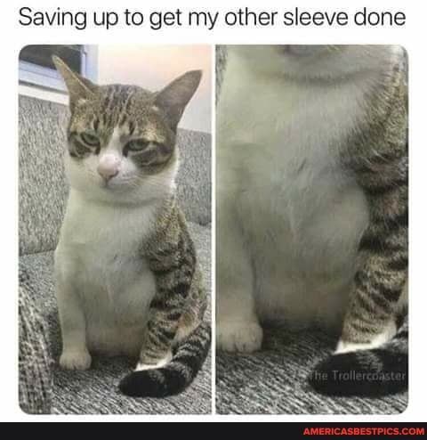 Saving up to get my other sleeve done