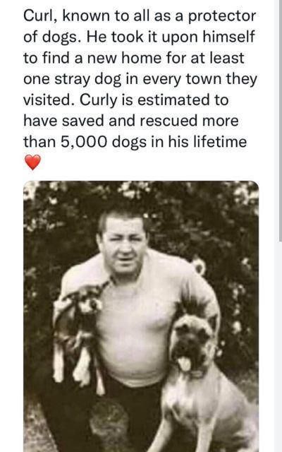 Curl known to all as a protector of dogs He took it upon himself to find a new home for at least one stray dog in every town they visited Curly is estimated to have saved and rescued more than 5000 dogs in his lifetime