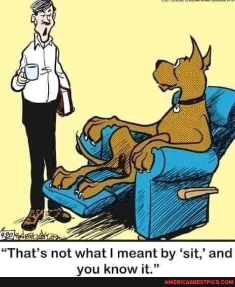 Thats not what meant by sit and you know it C AmeRicAsBESTRICSCOM