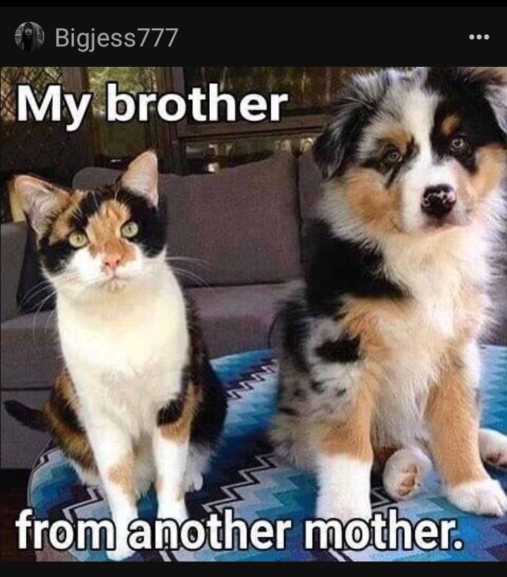 Y Bigjess777 Mybrother