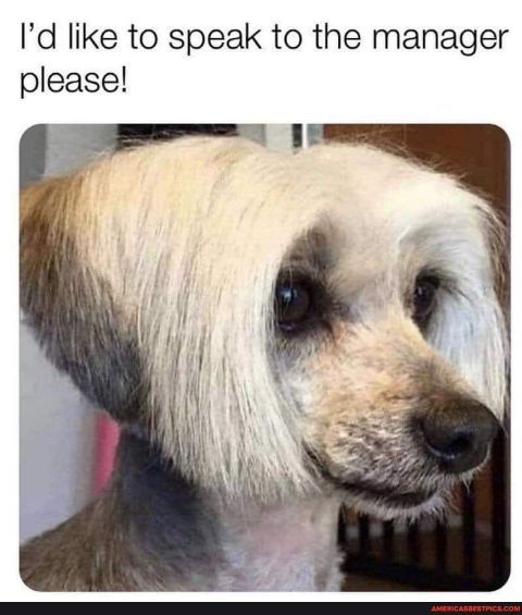 Id like to speak to the manager please