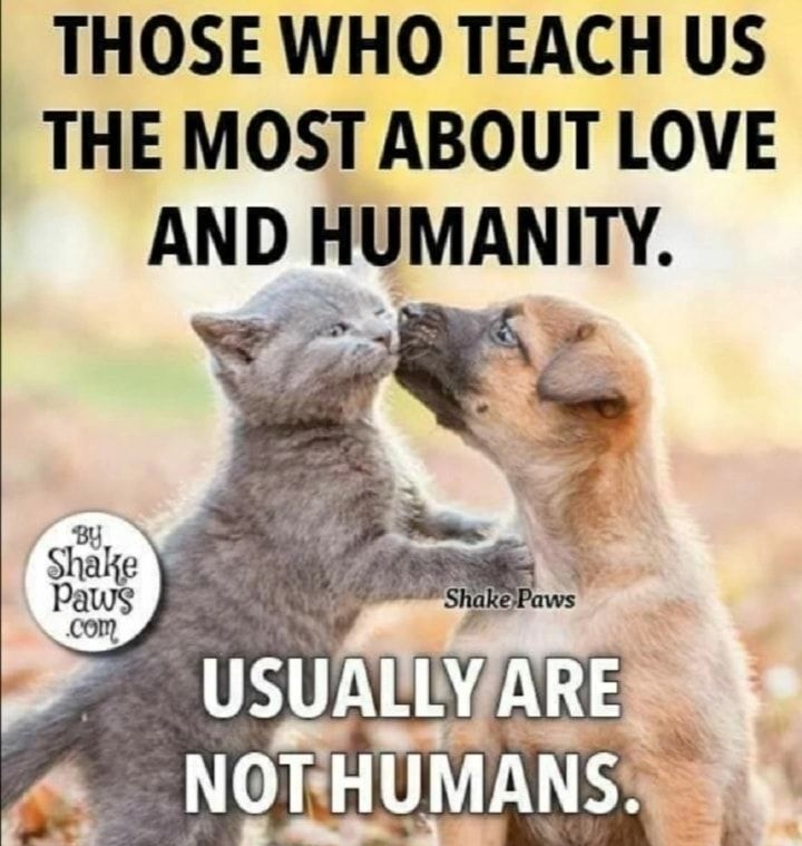 THOSE WHO TEACH US THE MOST ABOUT LOVE AND HUMANITY