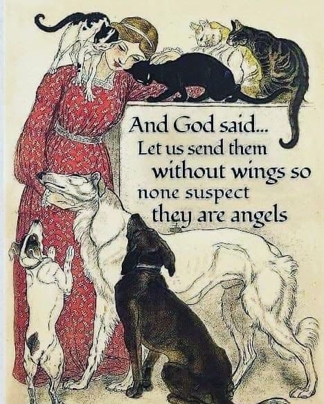 And God said Let us send them without wings so none suspect tll are angels rorfmiepy