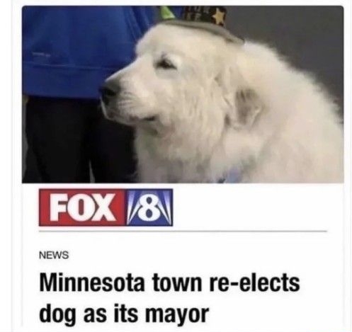 NEWS Minnesota town re elects dog as its mayor