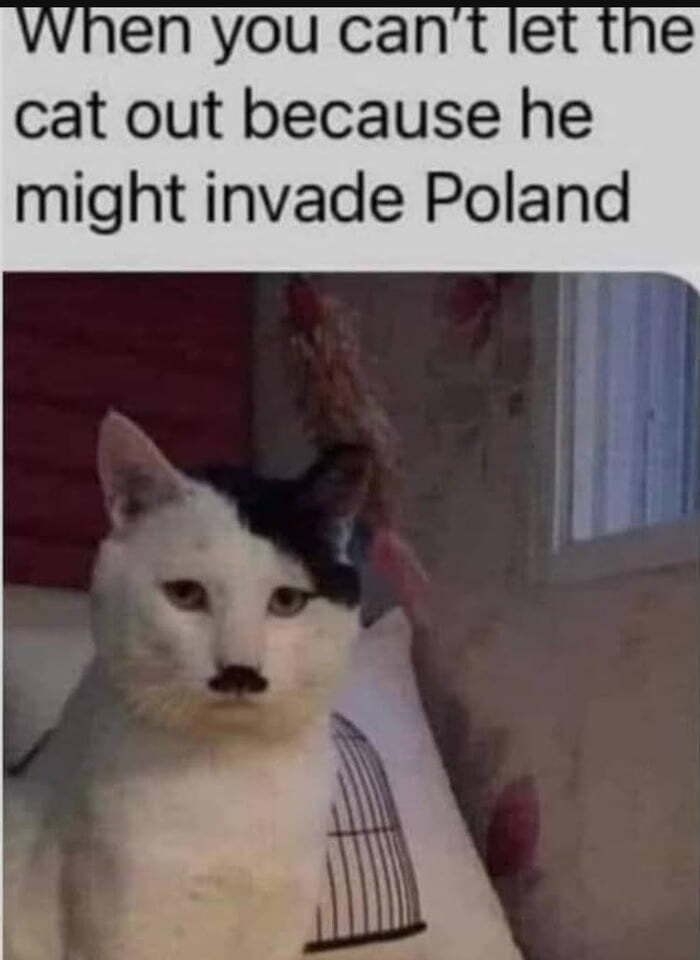 When you cantle cat out because he might invade Poland