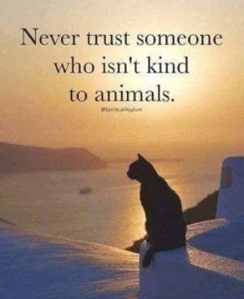 Never trust someone who isnt kind to animals