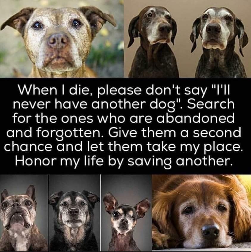 ik N When die please dont say Ill Sl alelVRelgTeyd ol ge ToTe HSTTe T ely el aINCT LAWY sTeeTg Yol STolgToleT g Te felgle R felgeleyat 1aMCTVER iy Tolas Mo R T Tele oo chance and let them take my place Honor my life by saving another