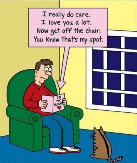 I really do care T love you a lot Now get off the chair You Know thats my spot