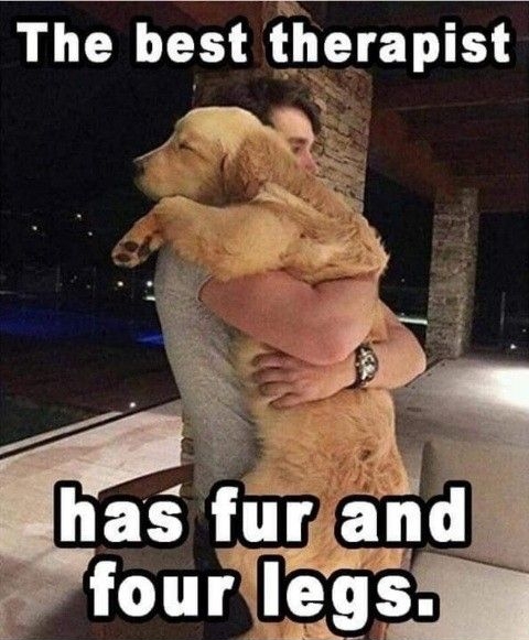 The best therapist
