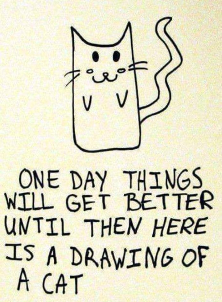 g ONE DAY THINGS WILL GET BETTER UVTIL THEN HERE IS A DRAWING OF A CAT