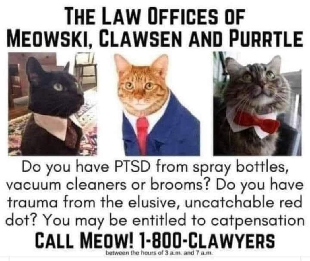 THE LAW OFFICES OF MEOWSKI CLAWSEN ANJ PURRTLE Do you have PTSD from spray bottles vacuum cleaners or brooms Do you have trauma from the elusive uncatchable red dot You may be entitled to catpensation