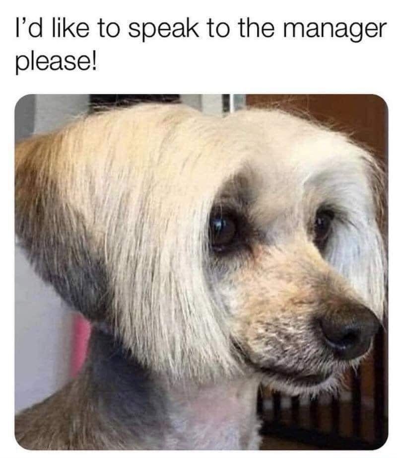 Id like to speak to the manager please