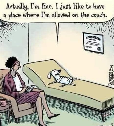 Actually Pm fine I juet like to have a place where m allowed on the couch W e BiZARROCOMIC BLOGSPOTCOM 01 Kot s rury