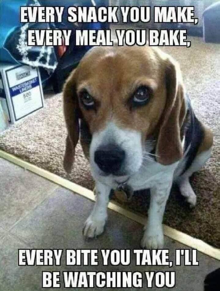 EVERY SNACKYOU MAKE EVERYBITE YOU TAKEr BEWATCHINGYOU
