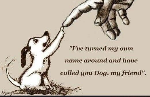 Ive turned my own name around and have called you Dog my friend