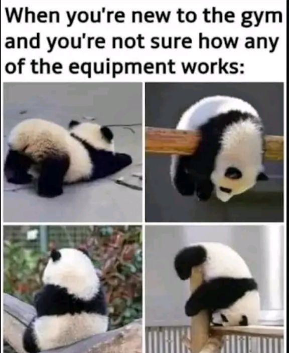 When youre new to the gym and youre not sure how any of the equipment works