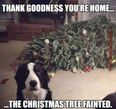L THANK GOODNESS you THE CHRISTMASTREEFAINTED