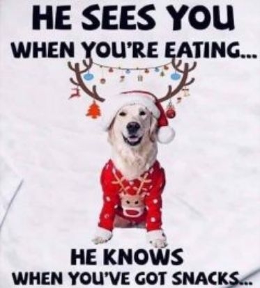 HE SEES YOU WHEN Kuu TING HE KNOWS WHEN YOUVE GOT SNAC