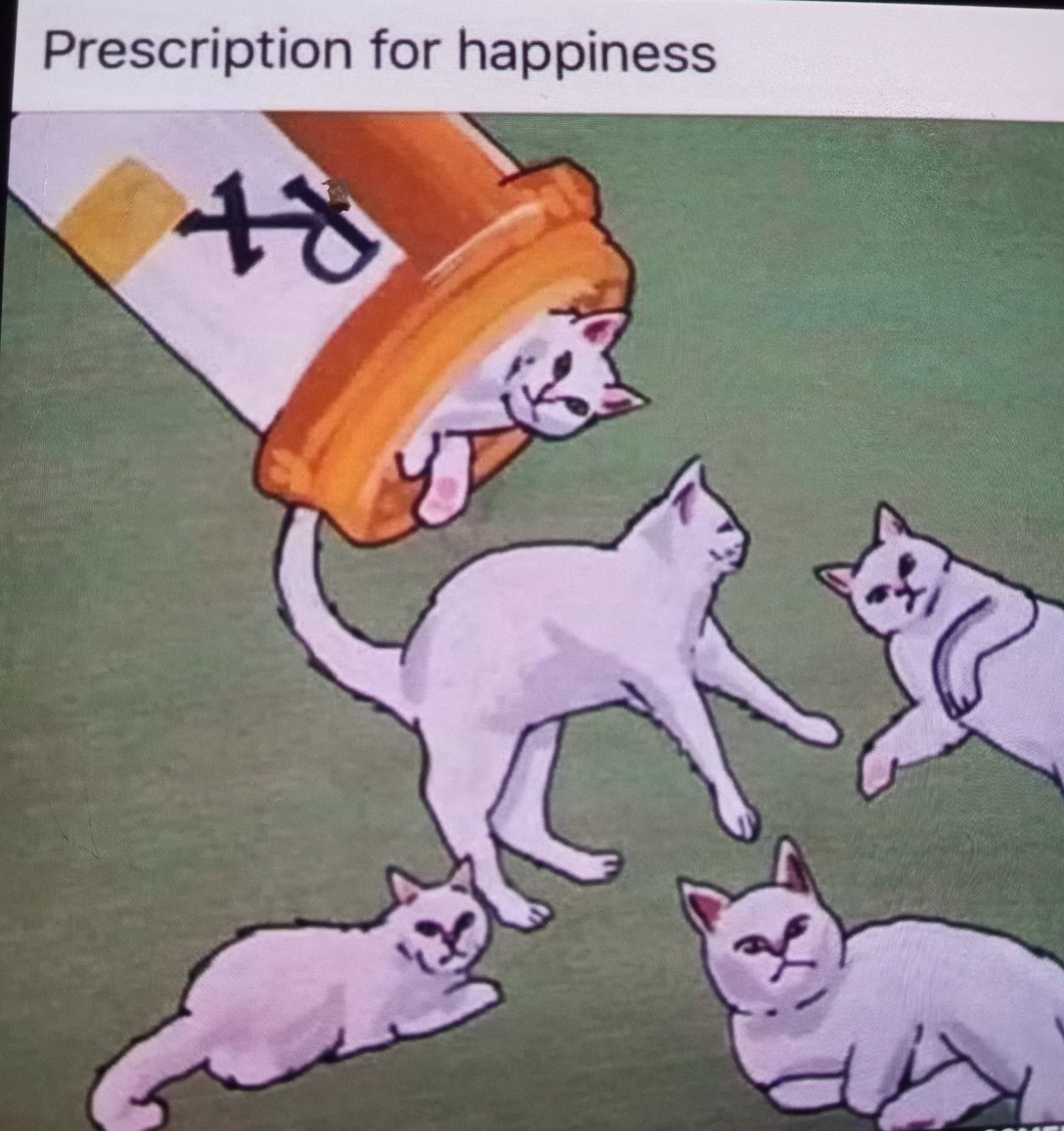 Prescription for happiness