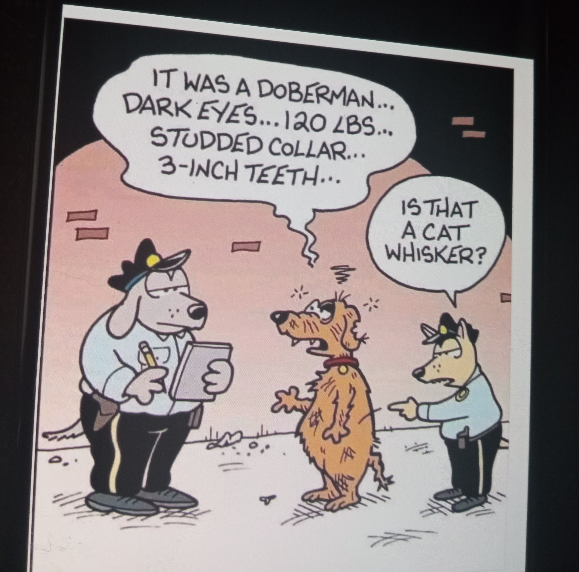 STODDED COLLAR B INCH TeTH