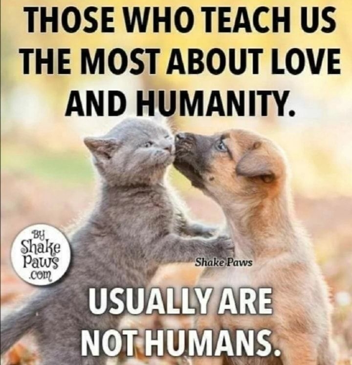 THOSE WHO TEACH US THE MOSTIABOUT LOVE AND HUMANITY
